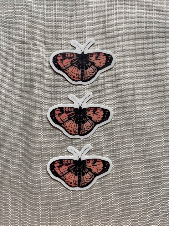Orange Butterfly Sticker